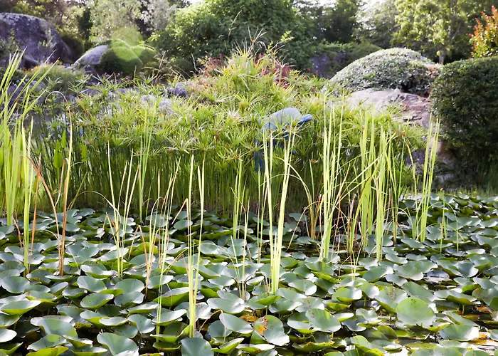 San Giovanni 3* Porto-Vecchio (Corsica)