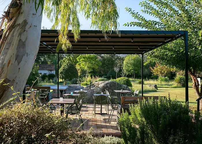 酒店 圣乔瓦尼酒店 维琪奥港