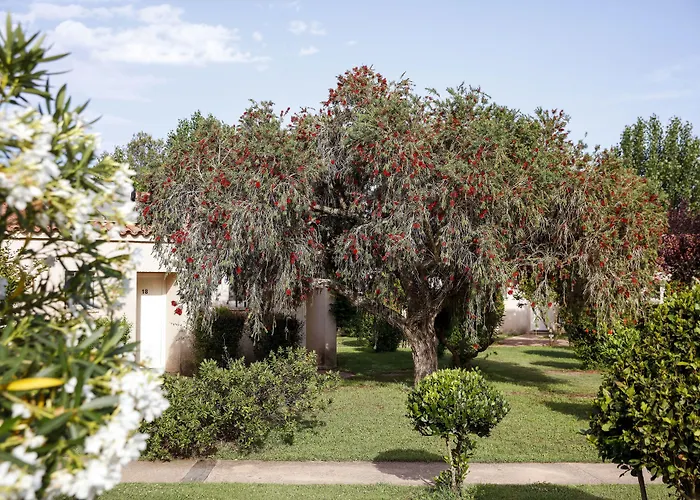 圣乔瓦尼酒店 3* 维琪奥港