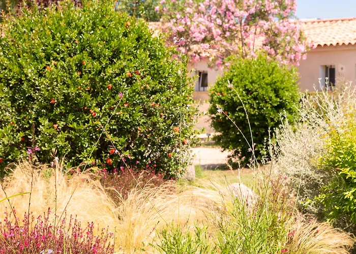 圣乔瓦尼酒店 酒店 3*